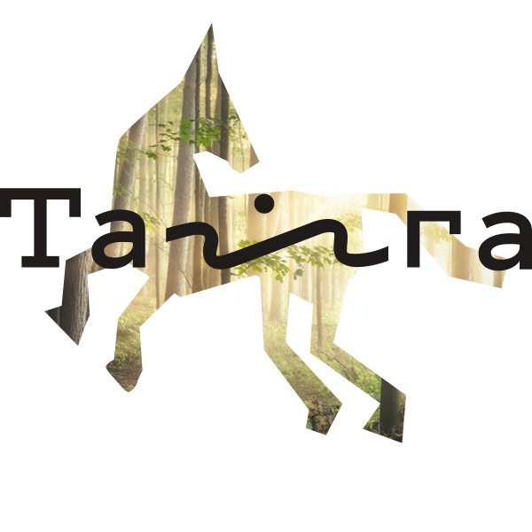 Обложка клуба путешествий Taiga Club