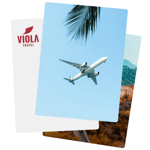 Обложка сайта сервиса Viola Travel